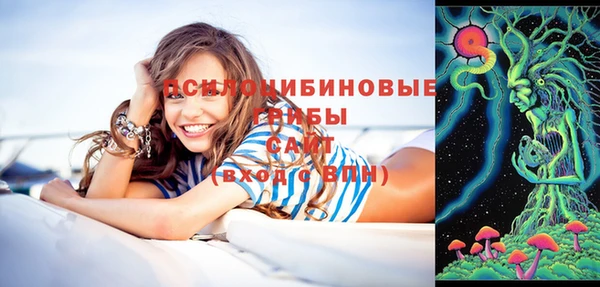 mdpv Алзамай