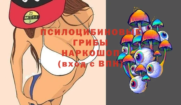 PSILOCYBIN Алексеевка