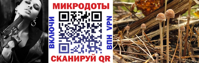 Псилоцибиновые грибы ЛСД  где купить   Бокситогорск 